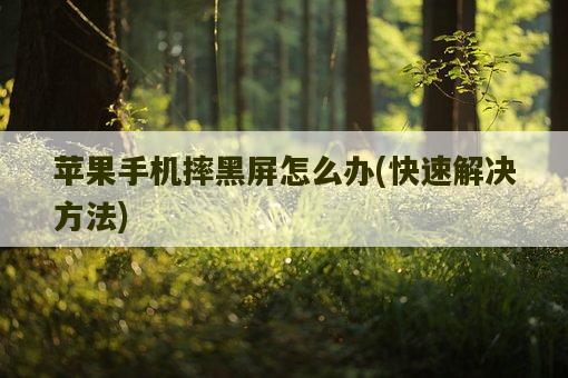 苹果手机摔黑屏怎么办，快速解决方法-图1