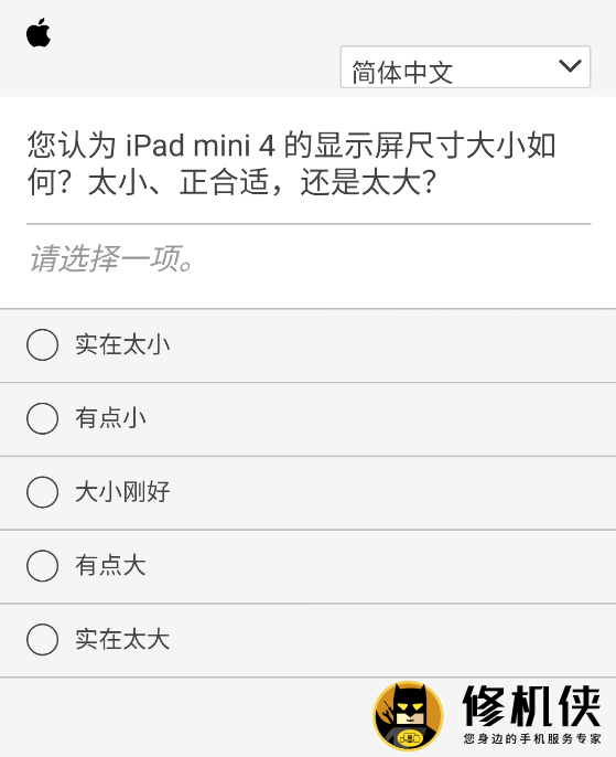 iPadmini